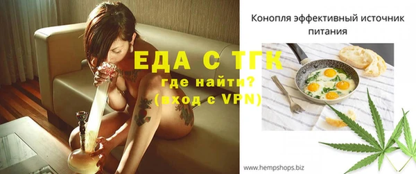 гашик Семилуки
