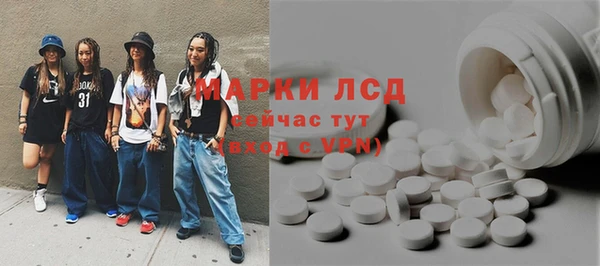 гашик Семилуки