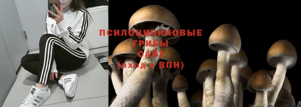индика Семёнов