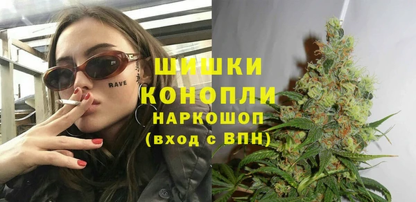индика Семёнов