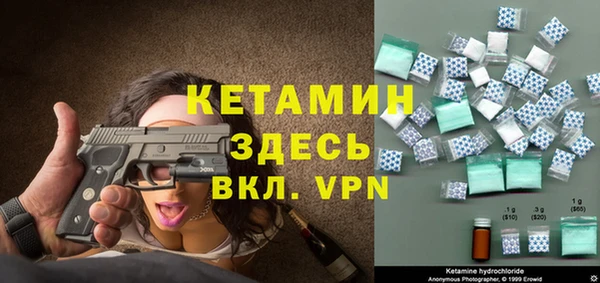 гашик Семилуки