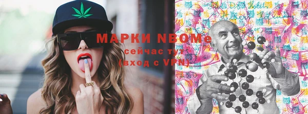индика Семёнов