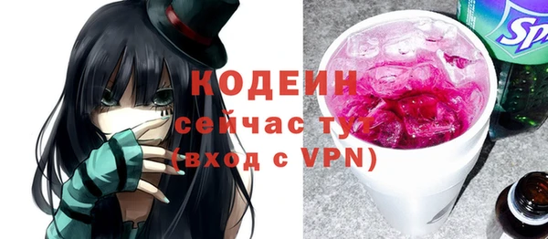 индика Семёнов