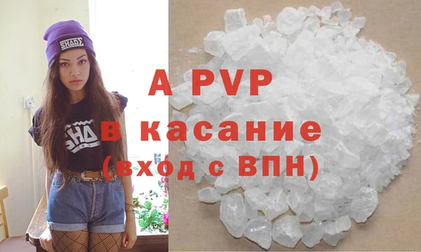 индика Семёнов