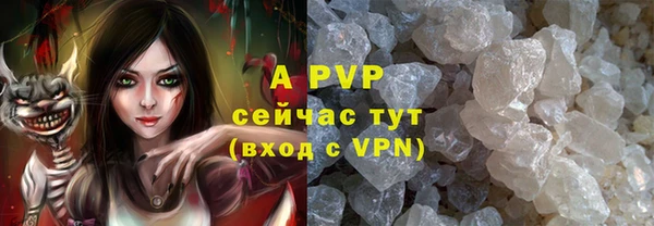 индика Семёнов