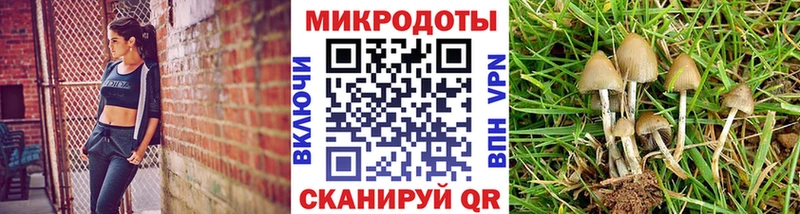 Псилоцибиновые грибы ЛСД  Сретенск 